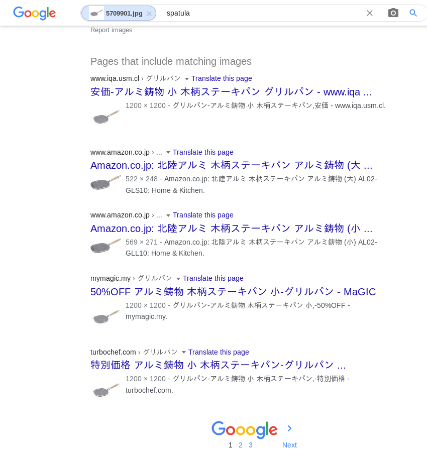 Google Reverse Image Search