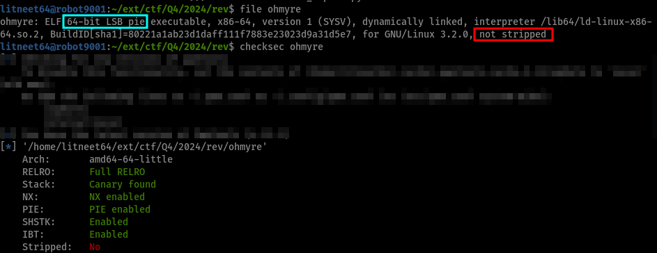 Output for file and checksec